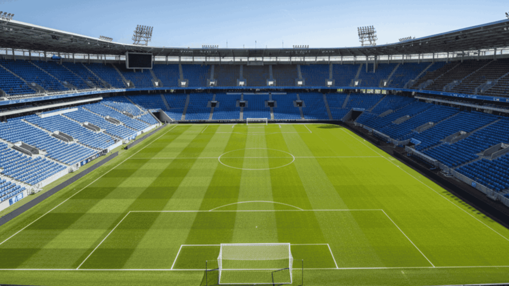 경기장 보안 안전관리 야구장보안 축구장보안 경기장경비