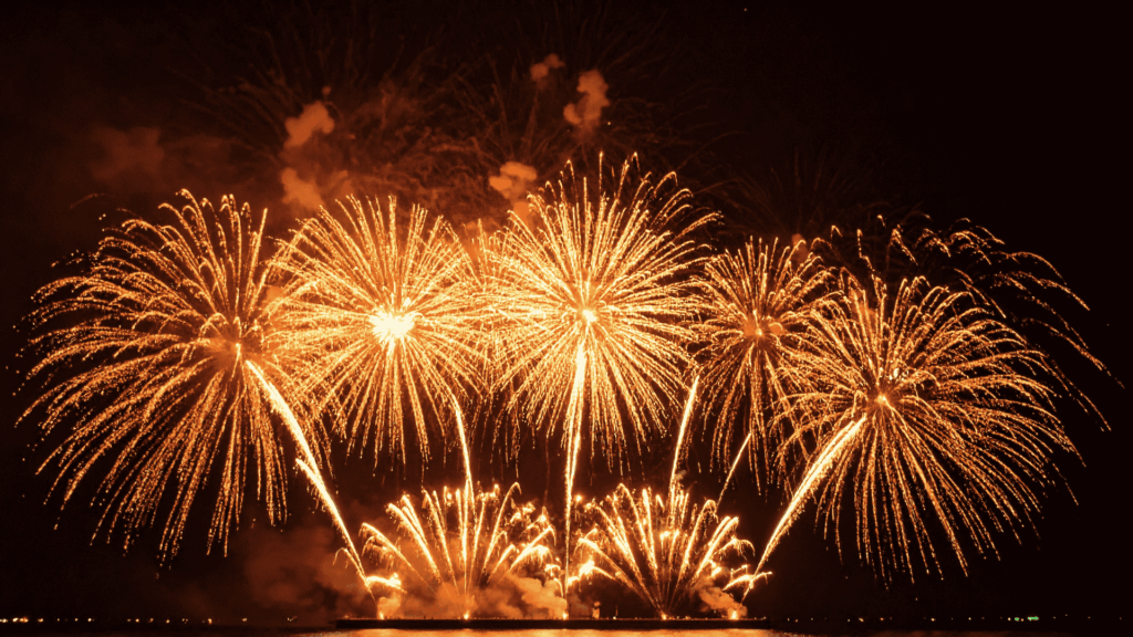 야간행사 보안 축제 경비업무 경호용역